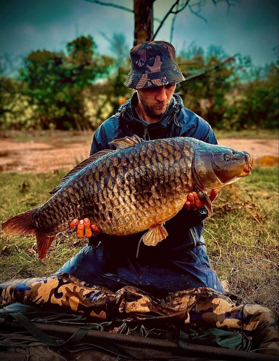 Carp jumping
