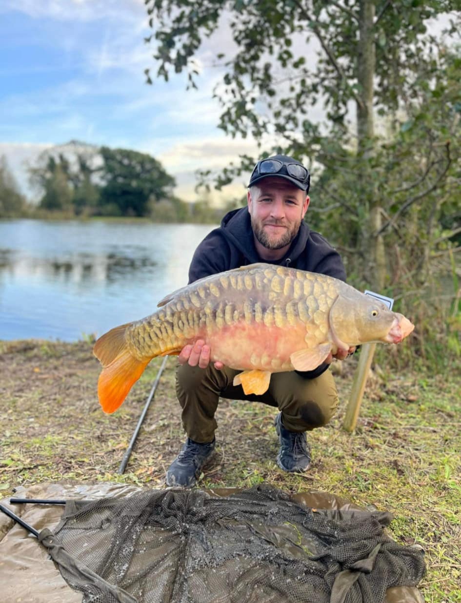 Fish in water